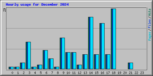 Hourly usage for December 2024