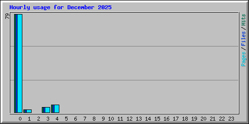 Hourly usage for December 2025